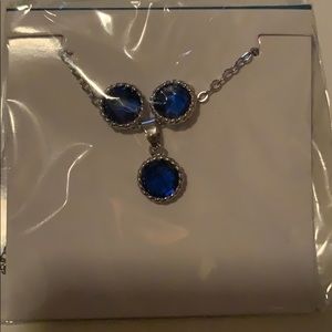 Necklace and Earnings